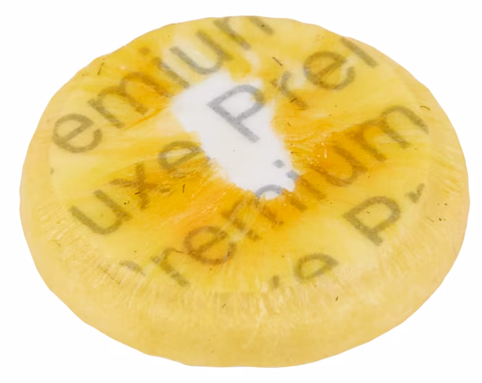 Pisoni PI40 - 9,5mm - Poduszki