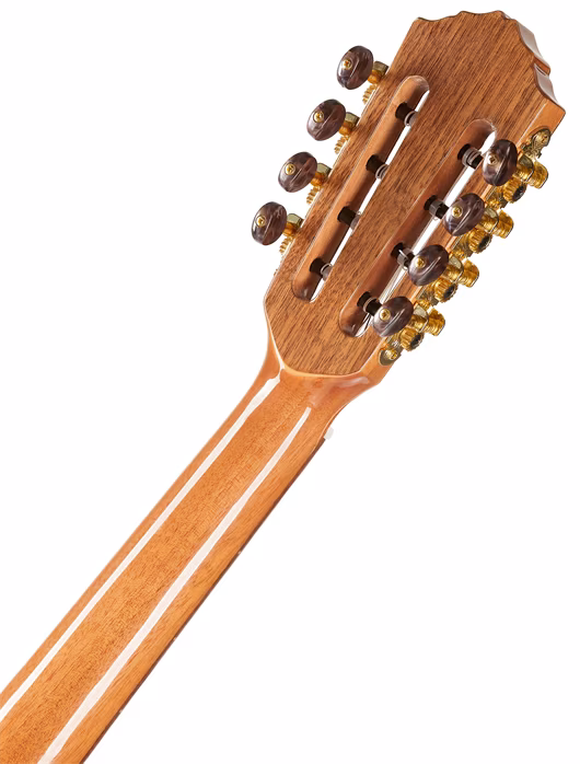 Ortega ECLIPSE-TE8 - Ukulele akustyczne