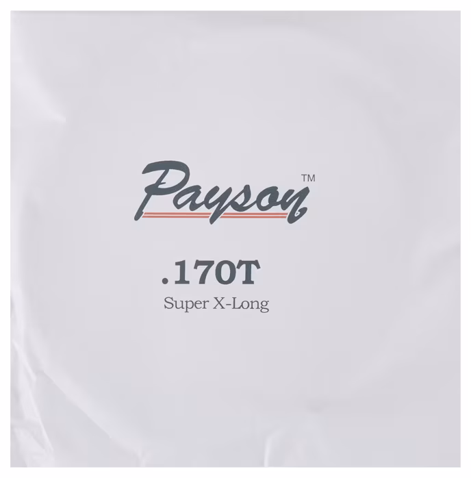 Payson Fanned SS .170T - Struna do gitary basowej