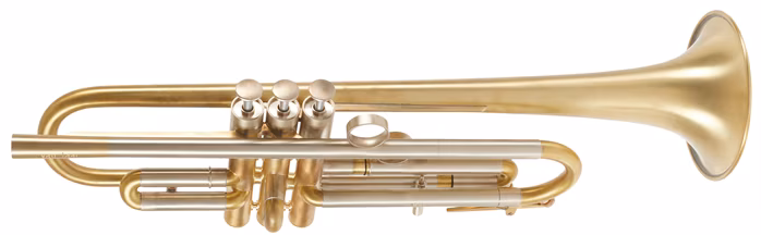 VanLaar Oiram light II Raw Brass - Trąbka