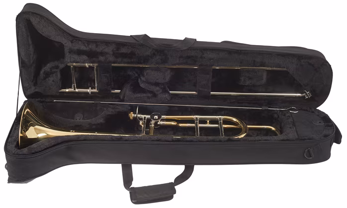 Bacio Instruments BST-310 - Puzon