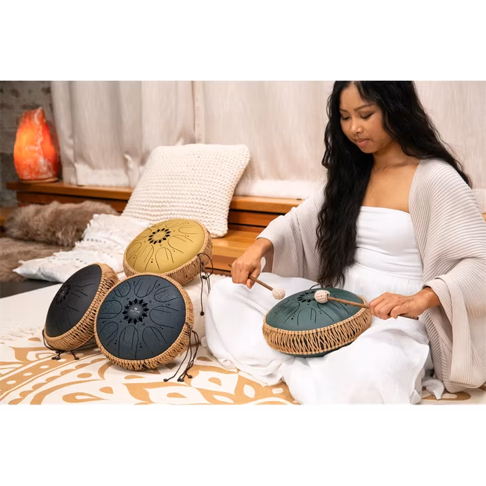 Meinl Sonic Energy 10" Octave Steel Tongue Drum F# Minor - Tongue drum