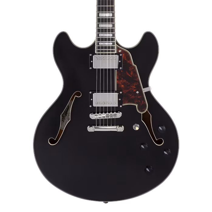 D'Angelico Premier DC Double Cutaway Stop-Bar Tailpie CE Black Flake - Gitara półakustyczna