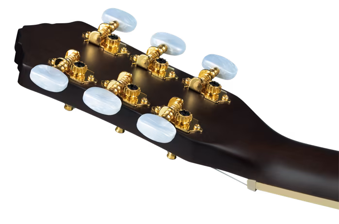 Ortega RRA-BKT - Gitara klasyczna