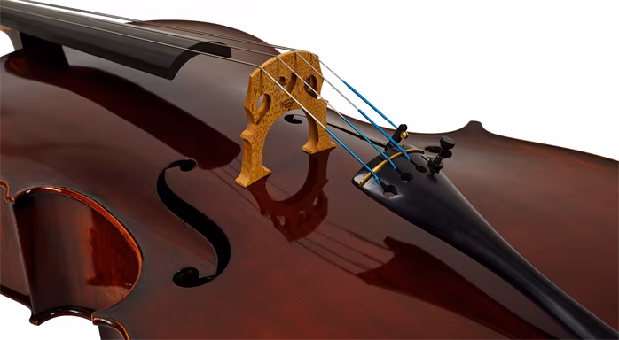 Eastman Amsterdam Atelier 1 Series 4/4 Cello - Wiolonczela