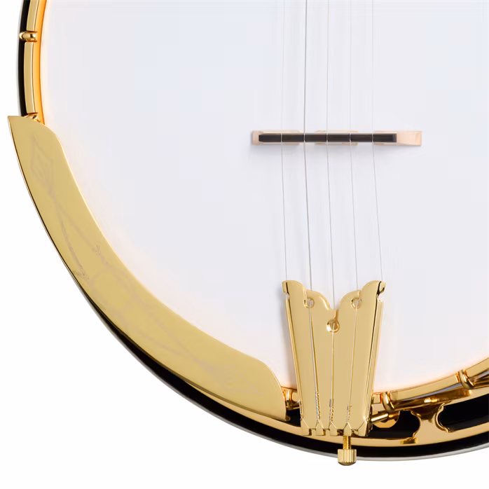 Epiphone Earl Scruggs Golden Deluxe Banjo - Banjo