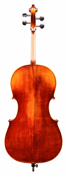 Eastman Andreas Eastman Cello 4/4 (VC305) - Wiolonczela