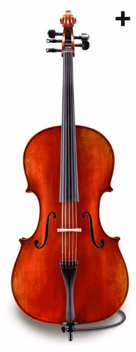 Eastman 5-String Rudoulf Doetsch Series+ Cello 4/4 (VC7015G+) - Wiolonczela