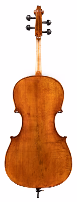 Eastman 830 Series 4/4 Stradivari/Poplar Cello - Wiolonczela