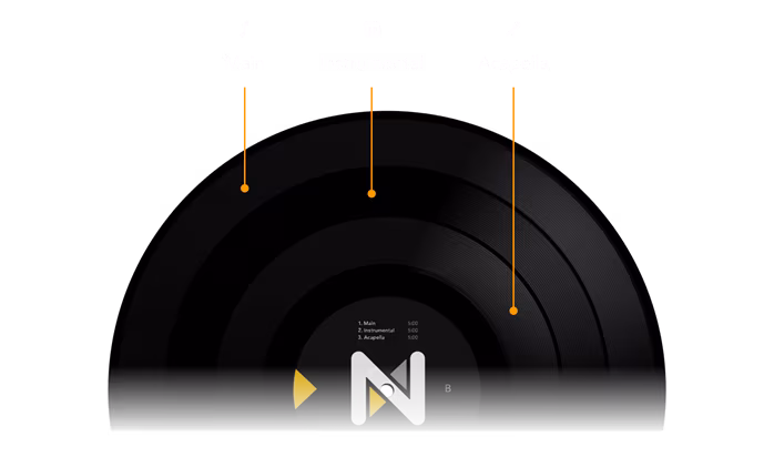 Stokyo Algoriddim djay Control Vinyl 12'' - Performance vinyl