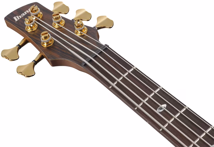 Ibanez SR5505 Mocha - Elektryczna gitara basowa
