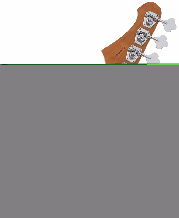 JET Guitars JJB-300 SFG - Elektryczna gitara basowa