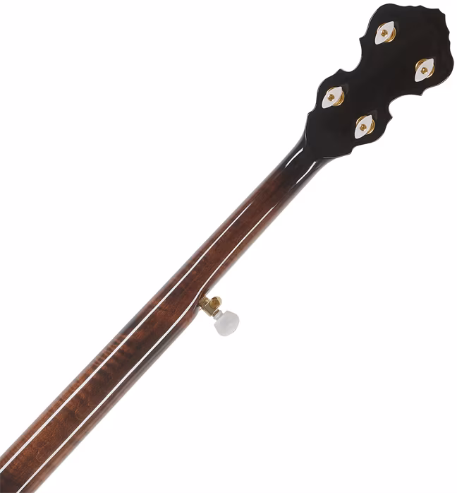 Ortega OBJ950-FMA - Banjo