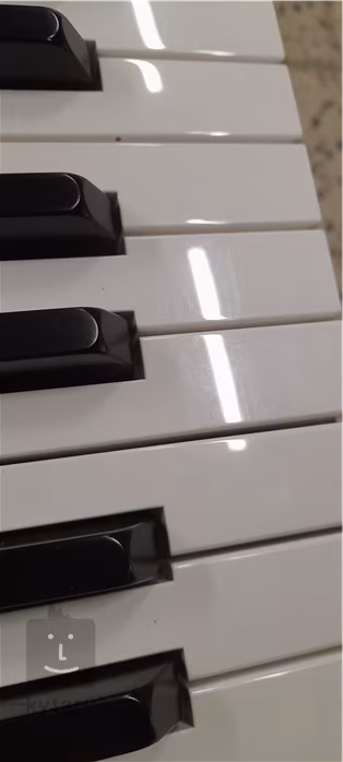 Korg B2N (używane) - Przenośne cyfrowe pianino sceniczne