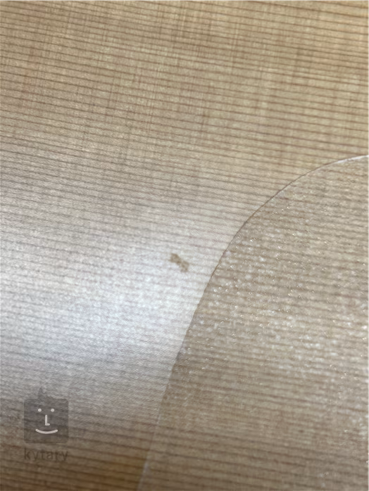 Dowina Rustica D (zanowny) - Gitara akustyczna