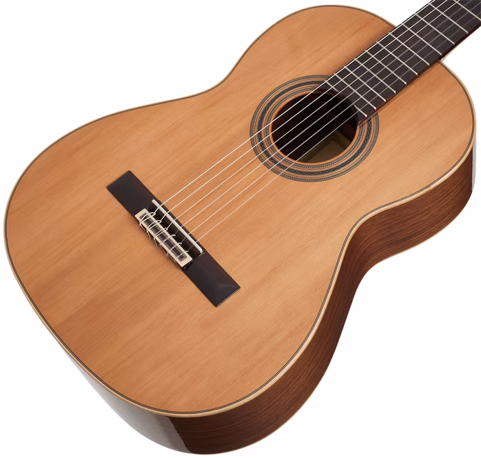 Ortega R20GWN - Gitara klasyczna