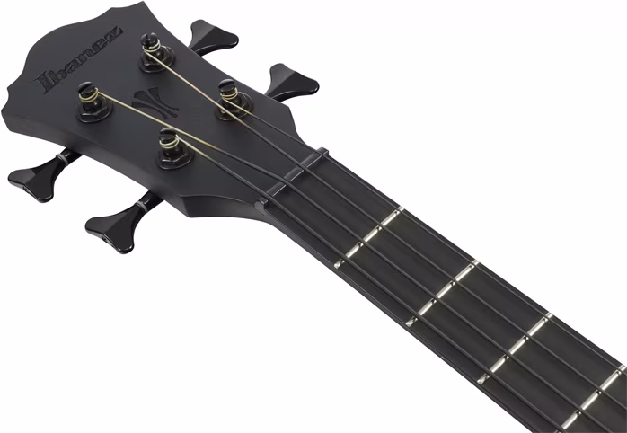 Ibanez AEGB420 BOT - Elektroakustyczna gitara basowa