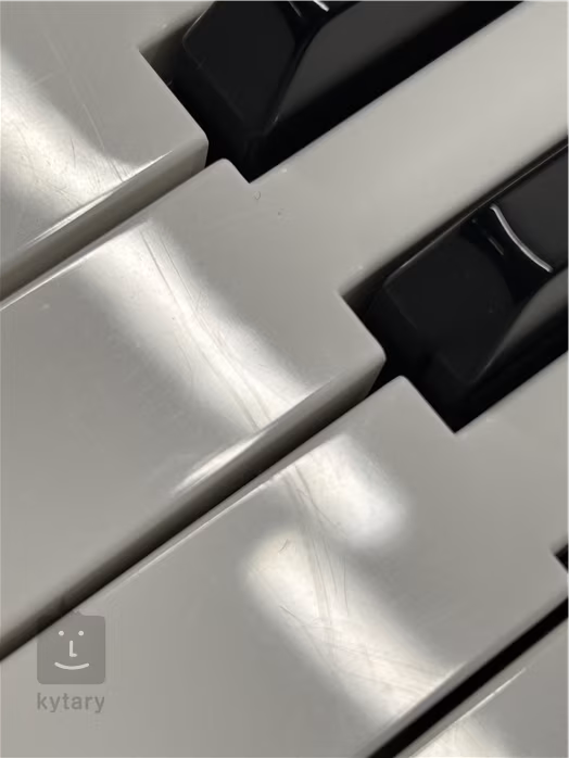 Fox 160 BK (używane) - Keyboard bez dynamiki