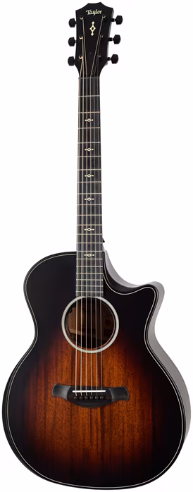 Taylor Builder's Edition 324ce Next Generation - Gitara elektroakustyczna