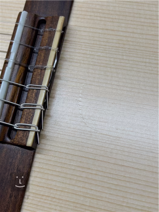 Manuel Rodriguez Ecología Series E-65 4/4 (używane) - Gitara klasyczna