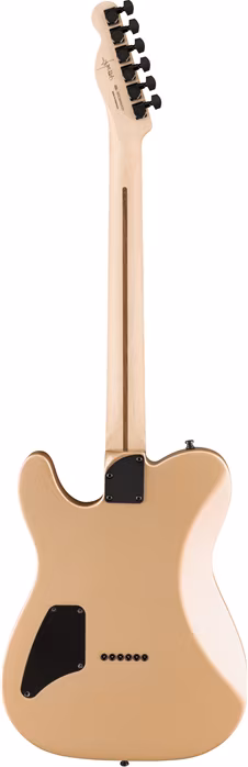 Fender Jim Root Telecaster EB SGD - Gitara elektryczna