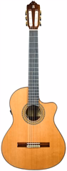 Alhambra 2013 9P CW E8 Cutaway - Chitară clasică