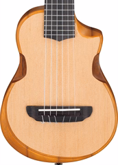 Ibanez AUP10N Natural