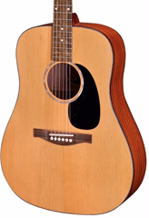 Eastman PCH1-D - Chitară acustică