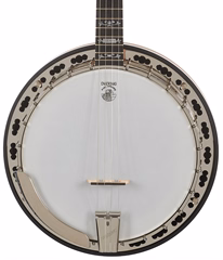 Deering Sierra 19-Fret Tenor - Banjo tenor