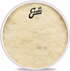 Evans 12" Calftone - Blana na tomy