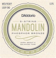 D'Addario EJ75