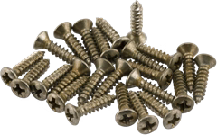 Fender Road Worn Control Plate Screws - Gitarový hardware