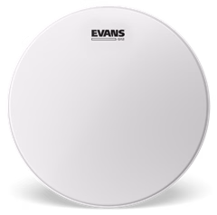 Evans 12" G Plus Coated - Blana na tomy