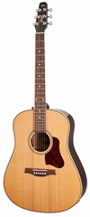 Seagull Coastline Momentum HG A/E - Elektroakustická gitara