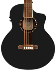 Ortega D8CE-5 (použité) - Elektroakustická basgitara