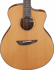 Ibanez Jon Gomm JGM11 - Elektroakustická gitara