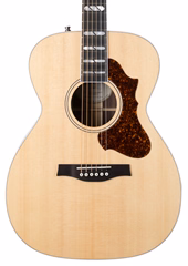 Godin Fairmount CH LTD Rosewood HG EQ - Elektroakustická gitara