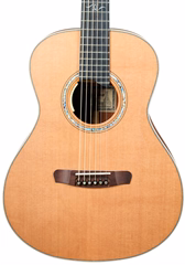 Dowina 2022 GDE Cocobolo Master Series - Elektroakustická gitara