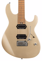 Cort G300 PRO MGD (poškodené) - Elektrická gitara