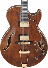 Ibanez AG95MG-DA - Semiakustická gitara