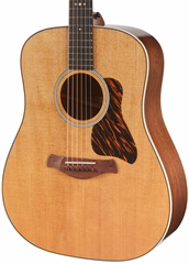 Taylor Gold Label 510e - Elektroakustická gitara