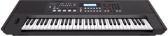 Roland E-X50 (rozbalené)