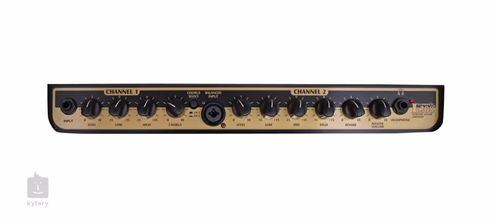 Peavey Ecoustic E208 - Kombo na akustické nástroje