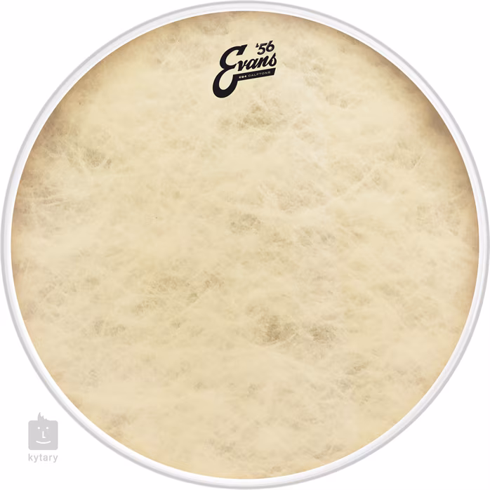 Evans 24" EQ4 Calftone - Blana na basový bubon
