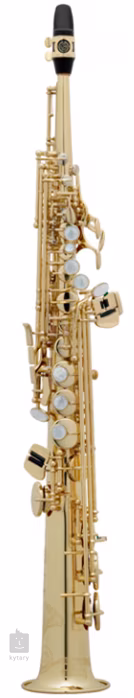 Selmer Super Action II Gold Lacquer - Saxofón