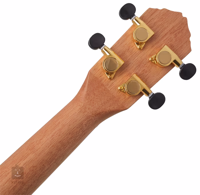 Ortega RUTI-TE - Akustické ukulele