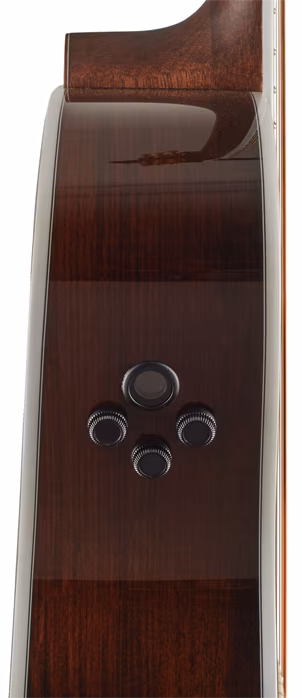 Cort Gold-A8 LB - Elektroakustická gitara