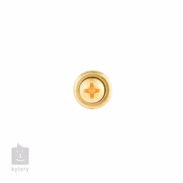 Gibson Strap Buttons Brass - Rolna na popruh