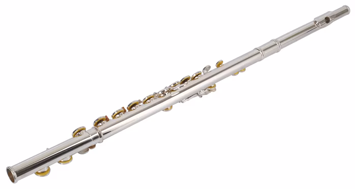 Bacio Instruments BFL-100S - Priečna flauta