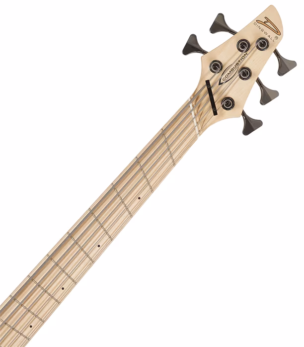 Dingwall Combustion 5 MN Whalepool Burst - Elektrická basgitara